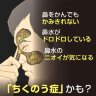 KOBAYASHI | CHIKUNAIN GRANULE | растительный комплекс от насморка в таблетках